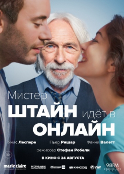 Мистер Штайн идёт в онлайн (2017)